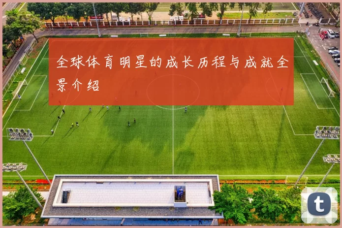 全球体育明星的成长历程与成就全景介绍
