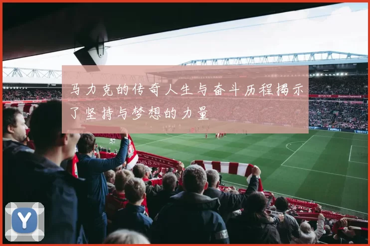 马力克的传奇人生与奋斗历程揭示了坚持与梦想的力量