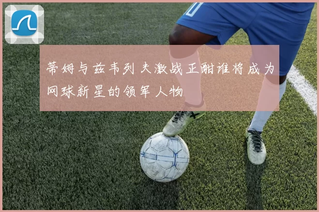 蒂姆与兹韦列夫激战正酣谁将成为网球新星的领军人物